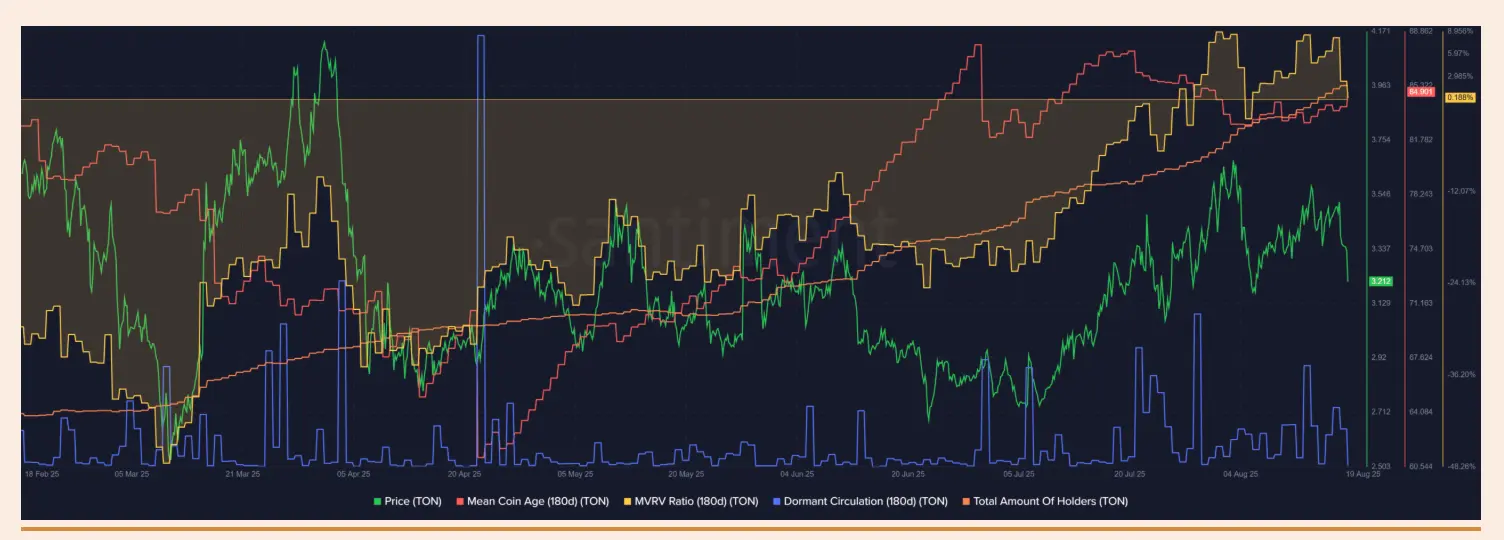 Short-Term and Long-Term Toncoin Price Forecasts